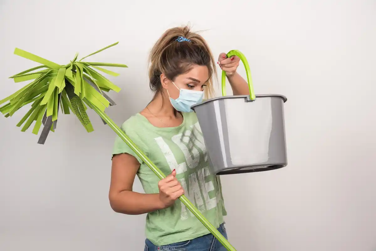 indoor plant disease common symptoms