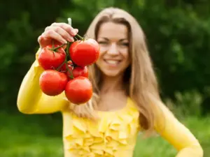tomato plant disease prevention garden Sweden