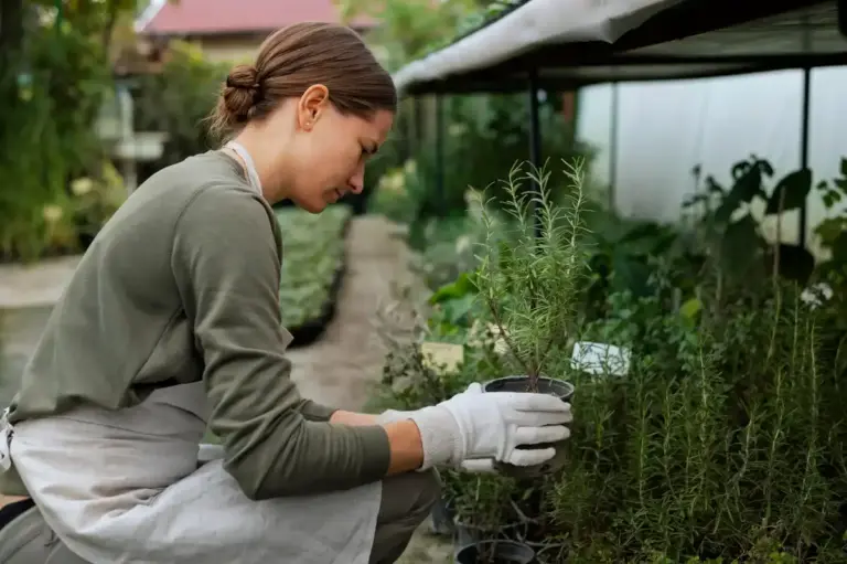 organic pest control garden Sweden