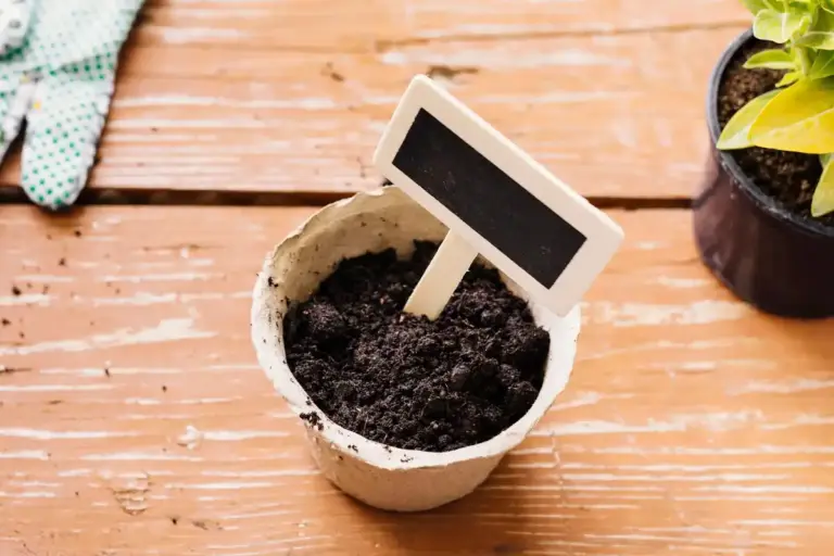 making nutritious soil at home compost peat sand