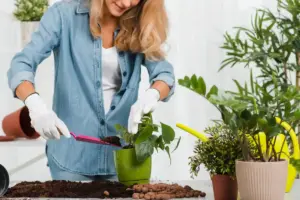 plant fertilizing tips gardening
