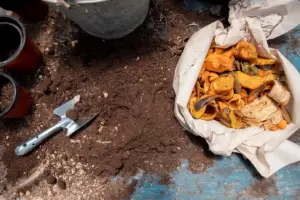Swedish garden compost heap