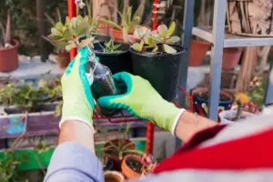 garden pest control natural methods