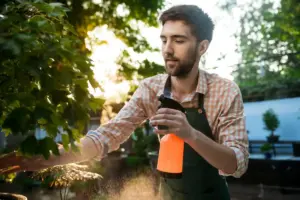 garden pest control quick tips Sweden