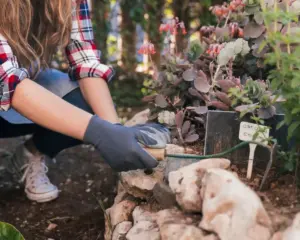 swedish garden planting tips