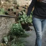 Swedish garden soil gardening spring planting