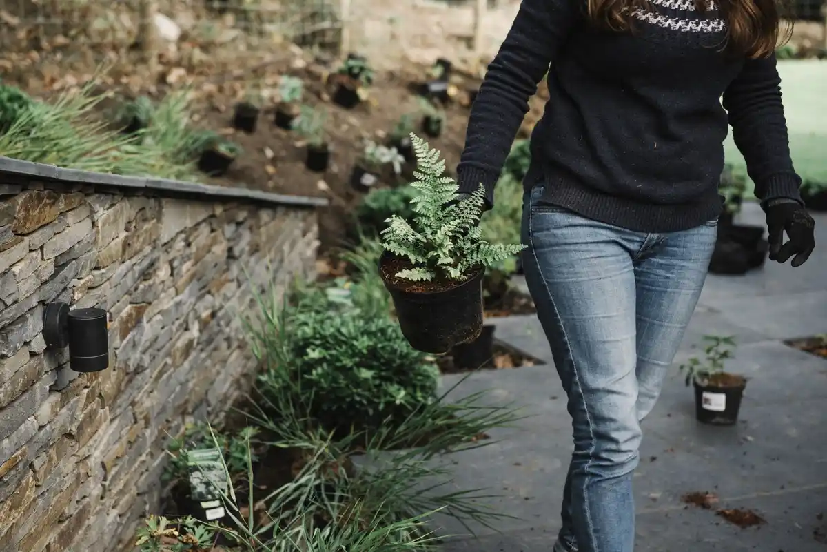 Swedish garden soil gardening spring planting