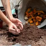 composting tips garden shreds worms