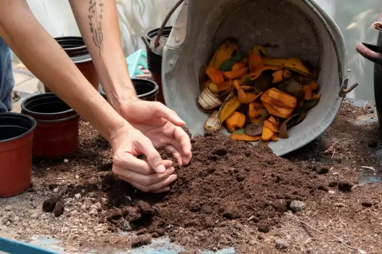 composting tips garden shreds worms