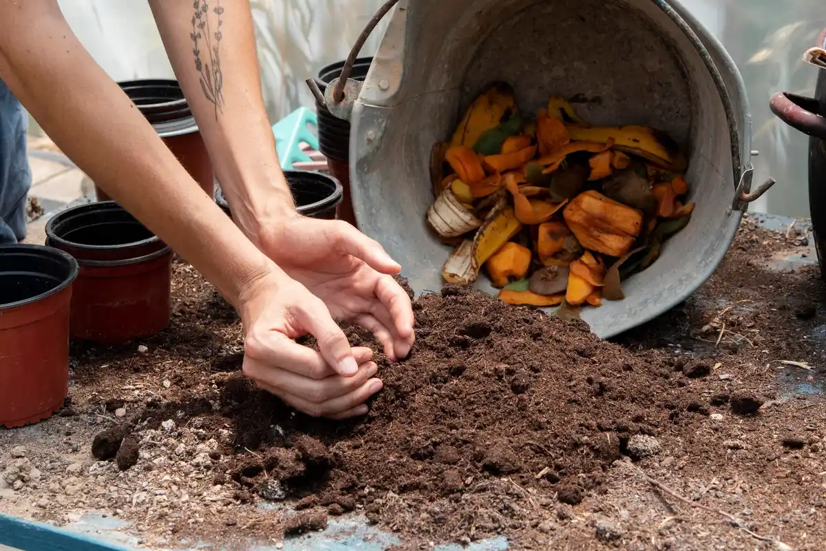 composting tips garden shreds worms