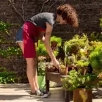 easy garden plants sweden vegetable garden