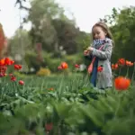 seasonal blooming garden Sweden