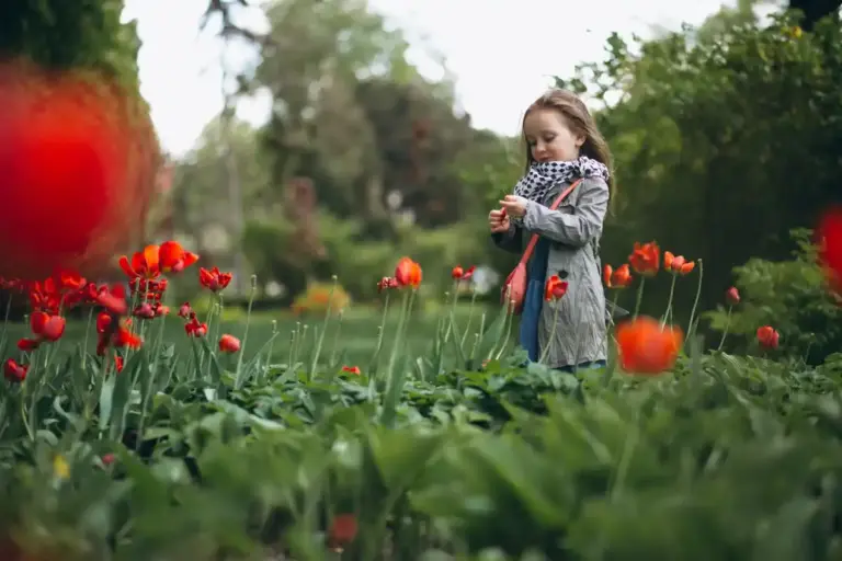 seasonal blooming garden Sweden