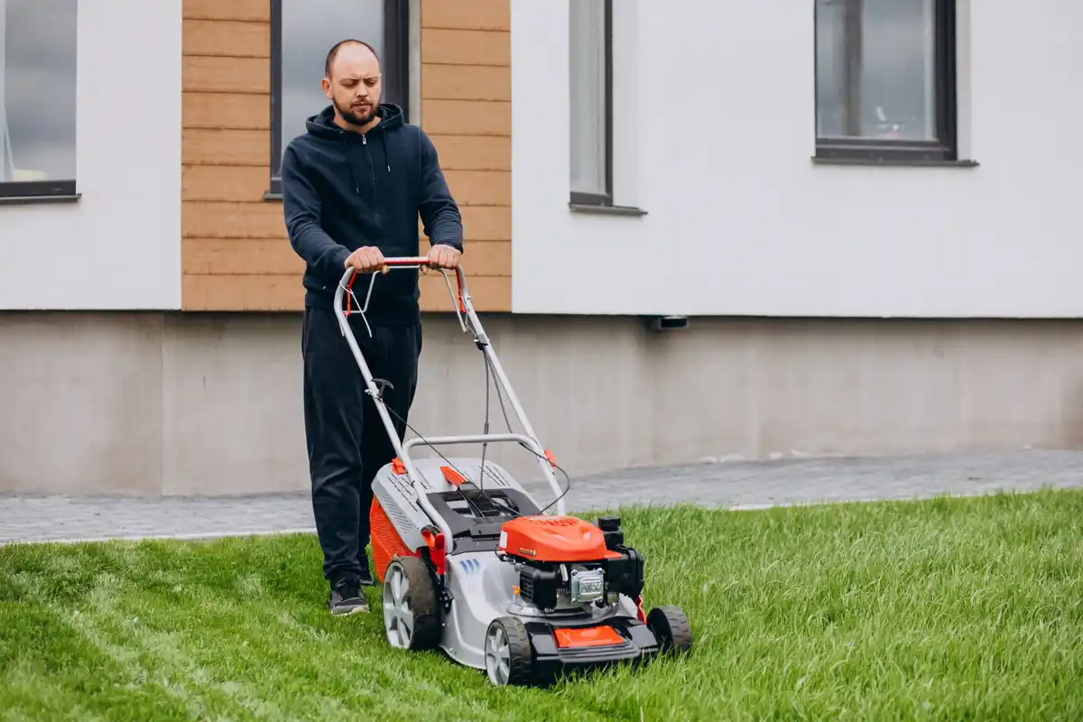 Swedish green lawn care garden