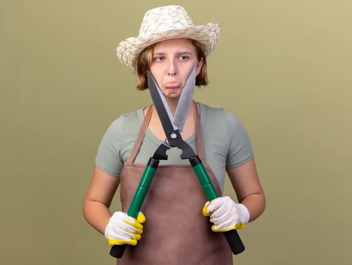 common garden problems solutions