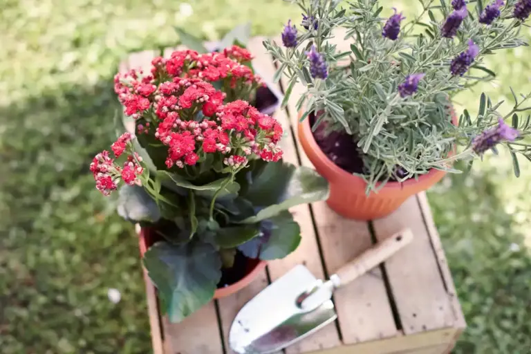 Swedish garden blooming all season
