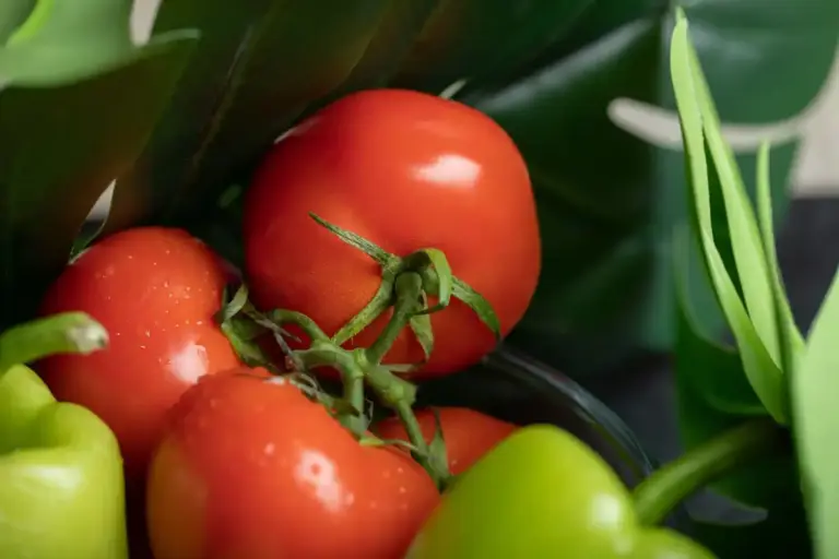 Swedish tomato plants garden summer