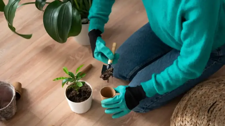 plant fertilizer types for garden plants