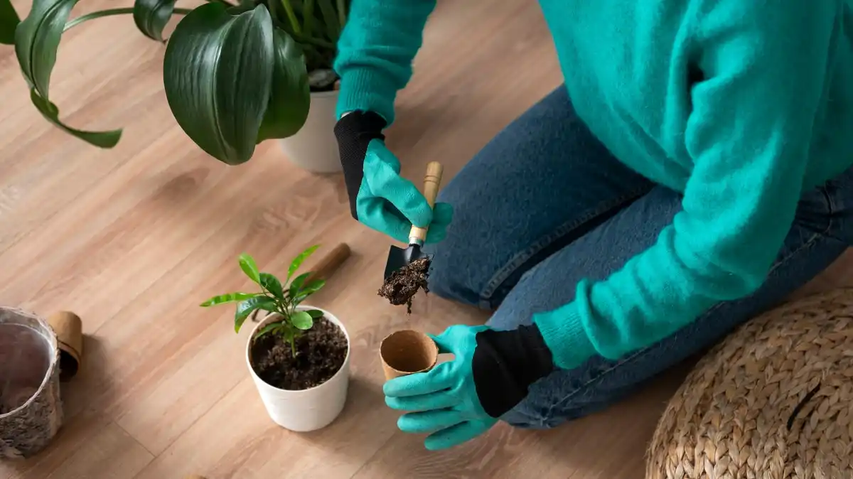 plant fertilizer types for garden plants
