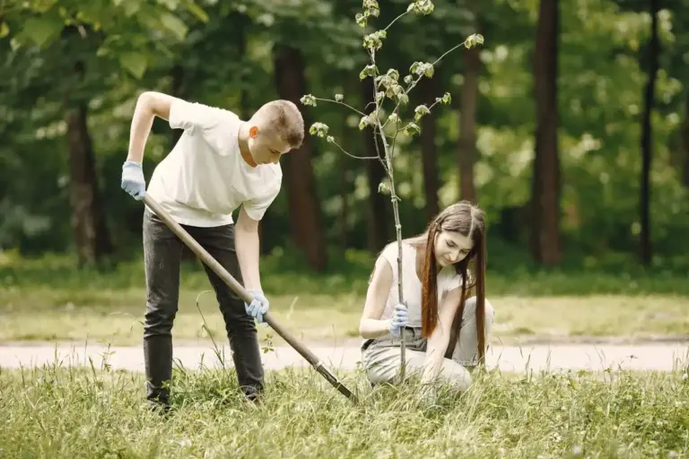 weeding without herbicide garden Sweden