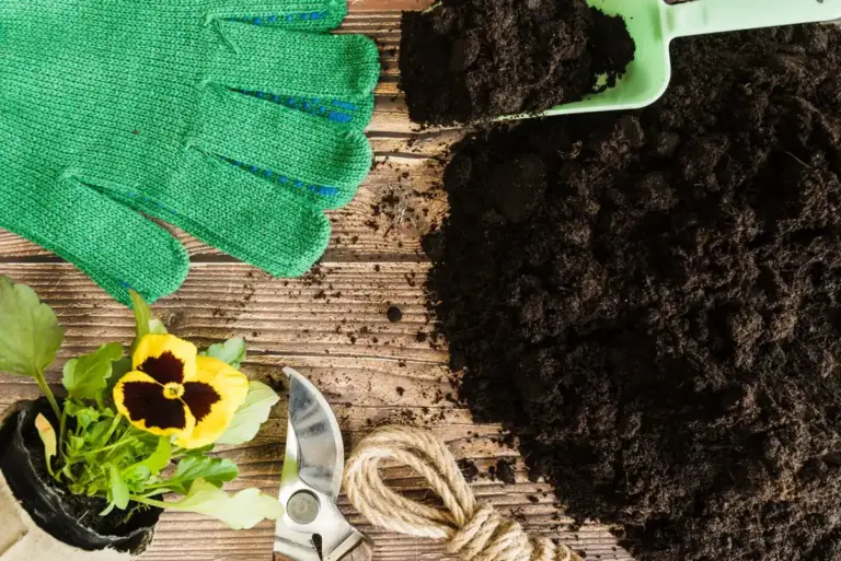 lush vegetable garden compost soil