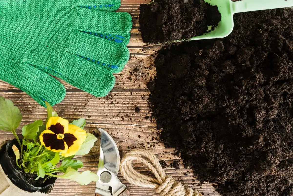 lush vegetable garden compost soil