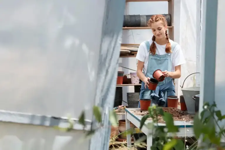Swedish garden backyard makeover budget