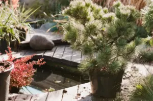 unique backyard garden design Sweden 2024