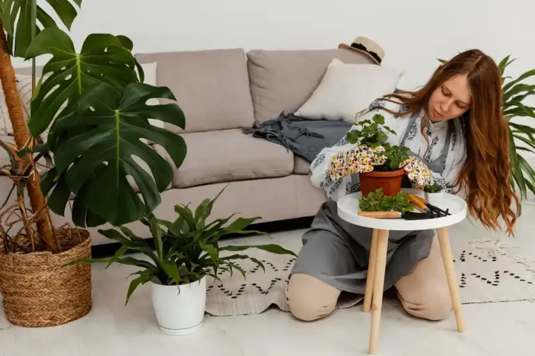 indoor potted plants care home Scandinavian