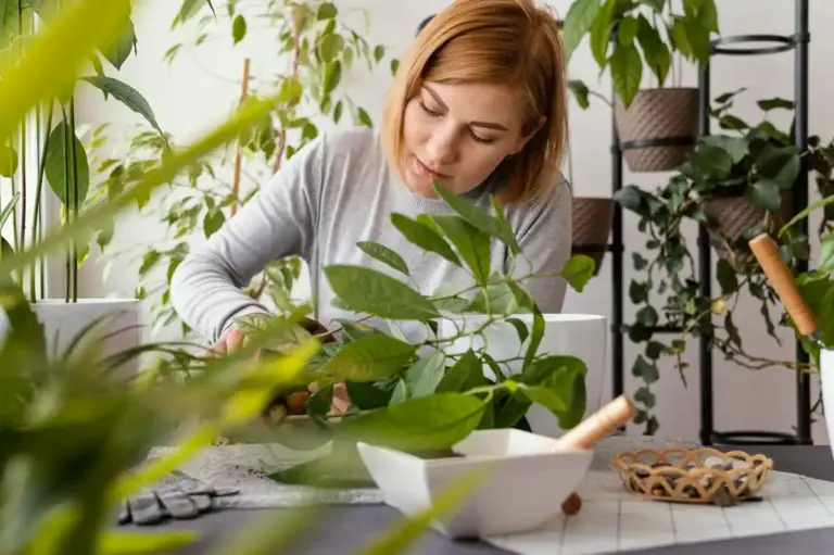 indoor houseplants care mistakes