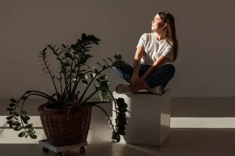 indoor plants near window natural light