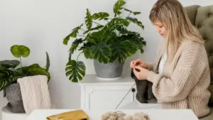 easy indoor plants for Swedish homes