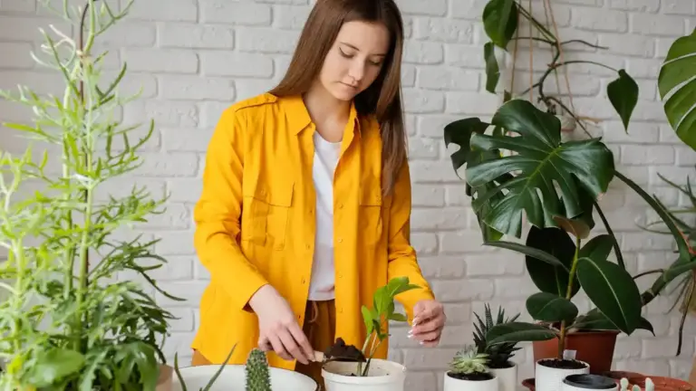 easy houseplants that never die