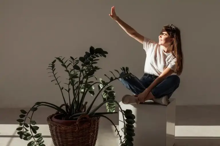 indoor flowering plants care Scandinavian apartment