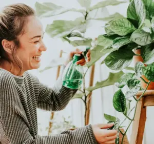 garden pests natural remedies Sweden