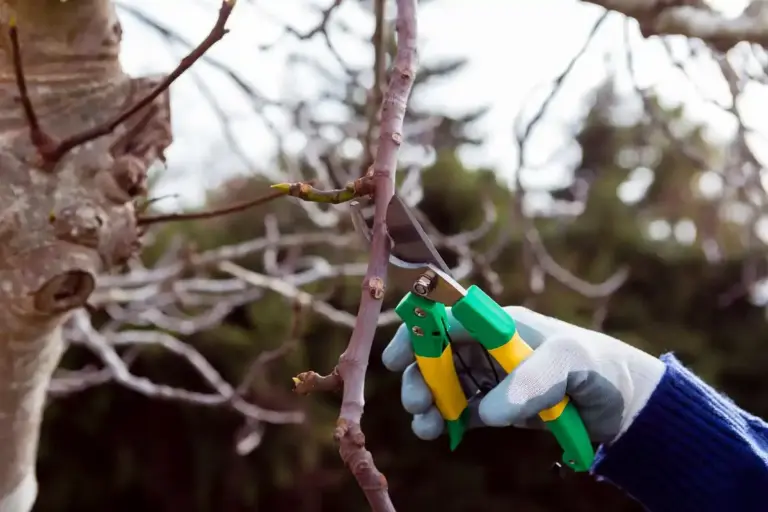 organic pest control in Swedish garden