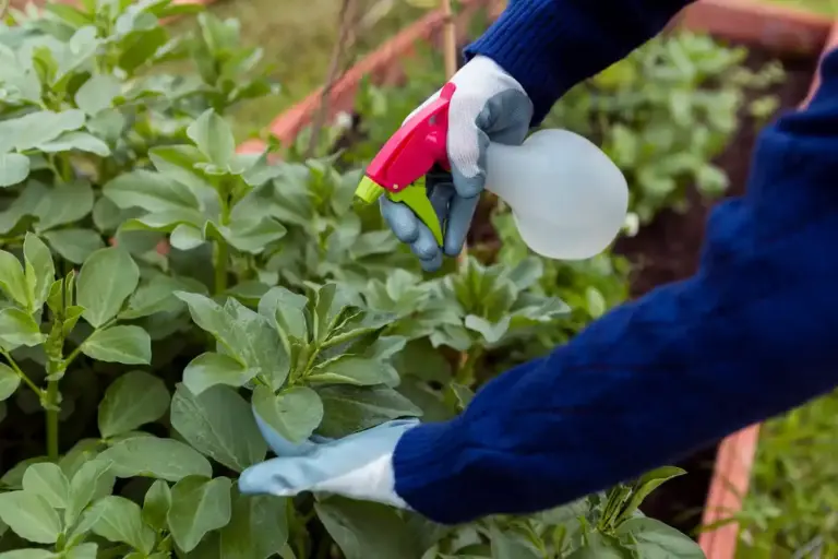garden flowers pest control Sweden