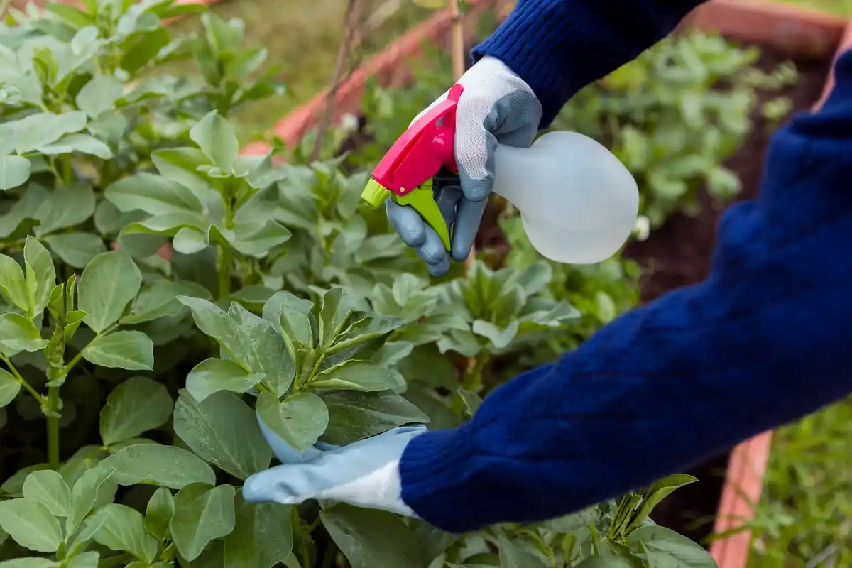 garden flowers pest control Sweden