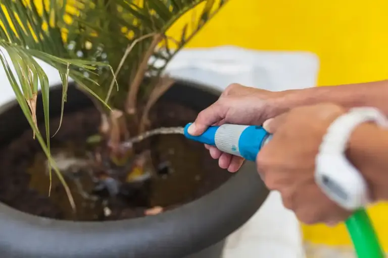 garden plants pest repellent Sweden