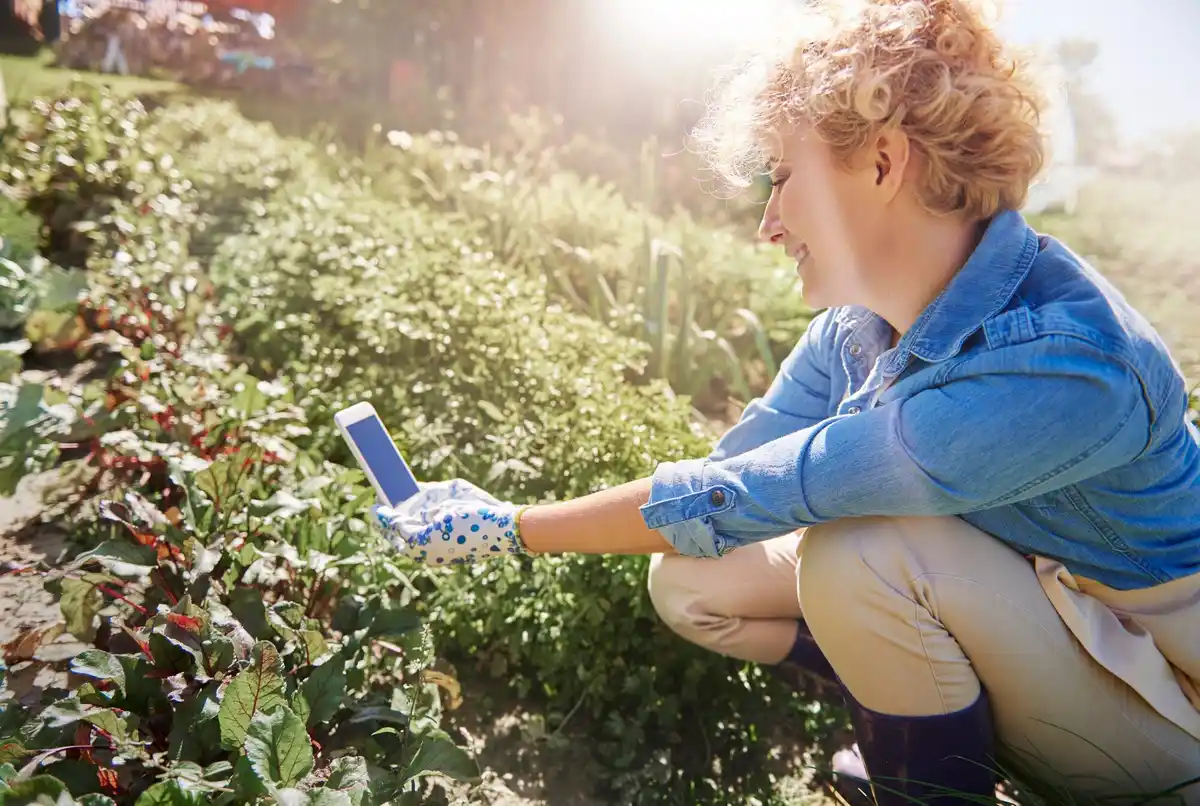 organic vegetable garden pest control Sweden