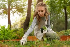 garden pest control sustainable organic gardening Sweden
