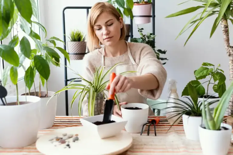 houseplant disease signs early detection