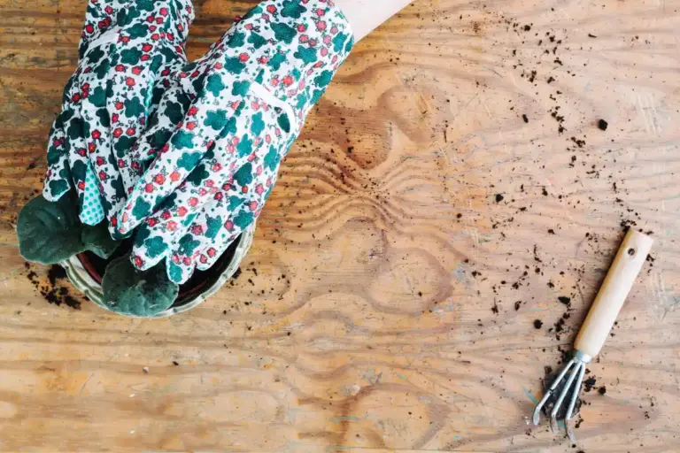 gardening mistakes Swedish garden harvest