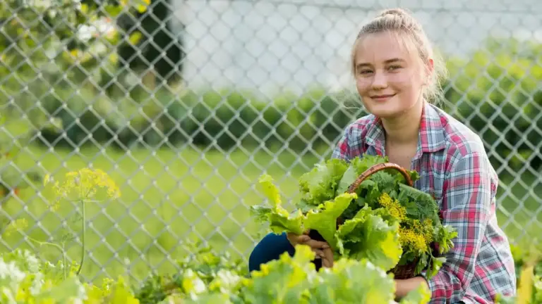 lush green vegetables gardening Sweden