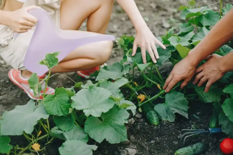 seasonal vegetable gardening Sweden