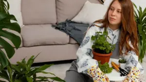 dying houseplants common reasons indoor plants care