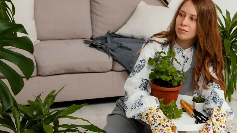 dying houseplants common reasons indoor plants care