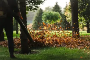 autumn garden preparation Sweden