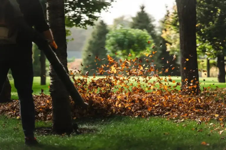 autumn garden preparation Sweden