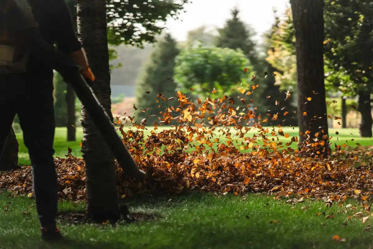 autumn garden preparation Sweden